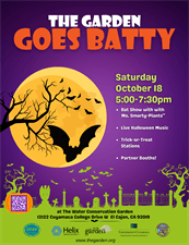 The Garden Goes Batty