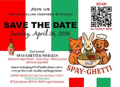 2nd Annual Spay-Ghetti & No Balls