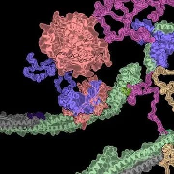 Machine Learning in Structural Biology