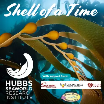 A Shell of a Time