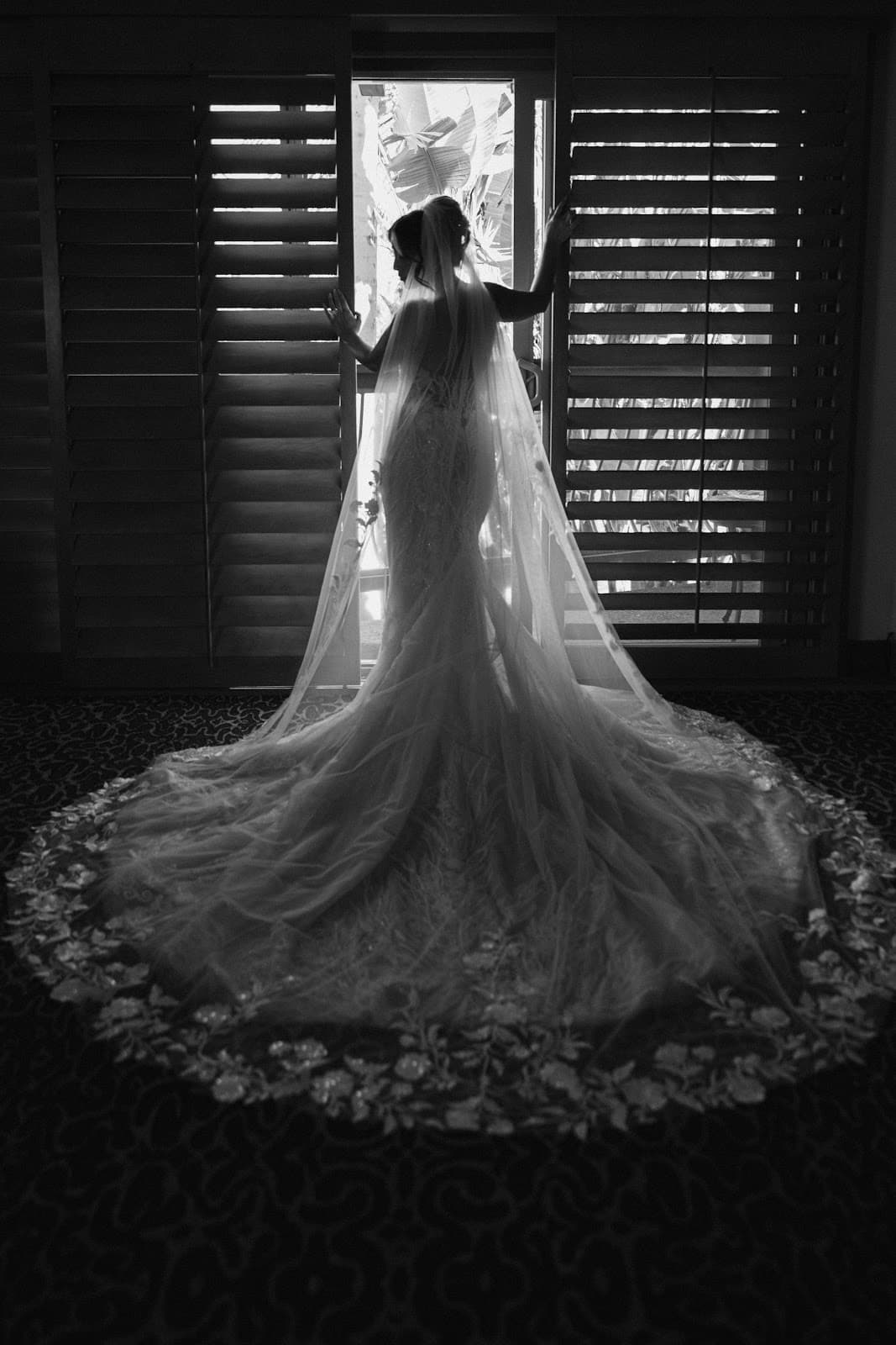 Elegance In Frame