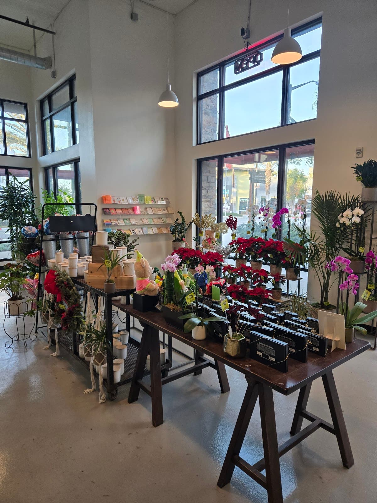 Allen's Flowers & Plants - Chula Vista
