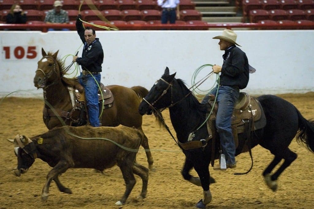 Poway Rodeo (Rodeo dance after the Friday and Saturday performances. Ages 21 and Over)